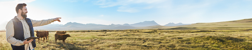 Entreprise recruteur dans le secteur Animaux, Nature