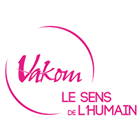 Logo de l'entreprise Vakom Reunion